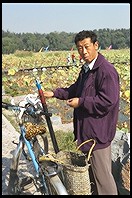 Fishing at Old Summer Palace (ruins). Beijing