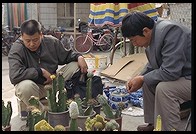 Yuting Flower and Bird Market. Beijing.