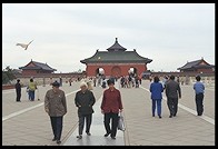 Temple of Heaven (Tian Tan Gongyuan).  Beijing