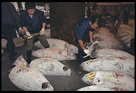 Tsukiji Fish Market. Tokyo