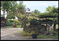 Chinese Garden.  Singapore