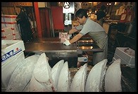 Tsukiji Fish Market. Tokyo