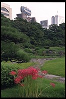 Kyu Shiba Rikyu garden. Tokyo
