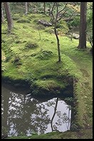 Saiho-ji. Kyoto