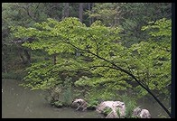 Saiho-ji. Kyoto