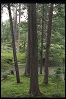 Saiho-ji. Kyoto