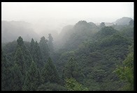 Kiyomizu Dera. Kyoto