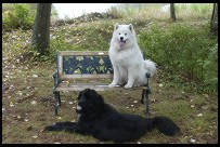 Digital photo titled polarlys-and-alex-on-bench