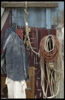 Digital photo titled walker-evans