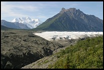 Digital photo titled root-glacier