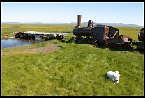 Digital photo titled last-train-to-nowhere-alex-1