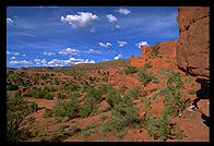 Red Rocks. Back road to Los Alamos, New Mexico.