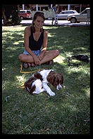 Spaniel. Santa Fe, New Mexico.