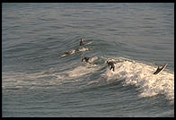 Surfers. Santa Cruz, California