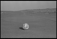 Dunes.  Cape Cod.  1981