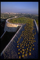 Cactus Garden overlooking the city. Getty Center. Los Angeles, California.