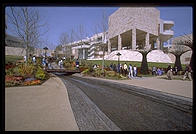 Garden. Getty Center. Los Angeles, California.