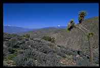 Keys View.  Joshua Tree National Park