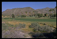 Golf Course. Palm Springs, California