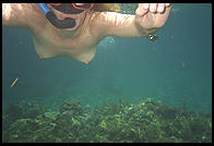Nude snorkeling, officially prohibited in St. Lucia.