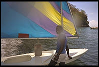 Sunfish.  St. Lucia