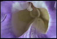 Butterfly World, Pompano Beach, Florida