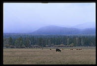 Oregon.