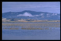 Lower Klamath National Wildlife Refuge