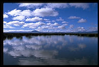 Lower Klamath National Wildlife Refuge