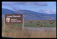 Lower Klamath National Wildlife Refuge