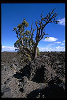 Lava Beds National Park. Tulelake, California