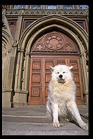 Alex at Memorial Hall.  Harvard University.