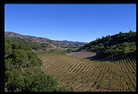 Napa Valley, California.