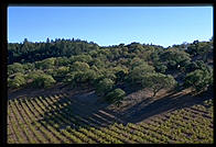 Napa Valley, California.