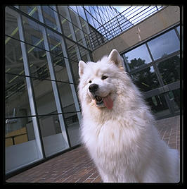 Alex at Harvard Graduate School of Design