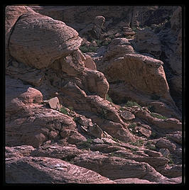 Red Rock Canyon, west of Las Vegas, Nevada