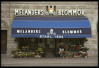 Stockholm flower shop