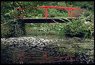 Japanese Garden. Powerscourt. South of Dublin, Ireland.