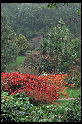 Japanese Garden. Powerscourt. South of Dublin, Ireland.