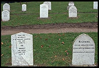 Pet Cemetery. Powerscourt. South of Dublin, Ireland.