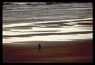 Oregon Coast.