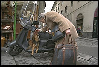 Even dogs have mopeds in Italy