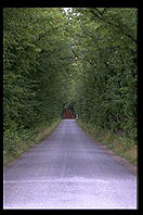 Off route 143 in Gotland.  Sweden.