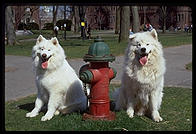 Alex and Sammmy. Harvard Yard 1998