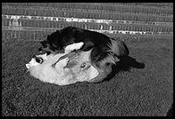 Alex and Mia at MIT. 1998.