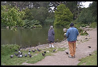 Golden Gate Park.  San Francisco, California