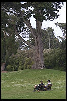 Golden Gate Park.  San Francisco, California