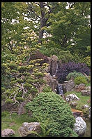 Japanese tea garden.  Golden Gate Park.  San Francisco, California