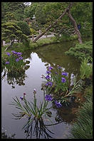 Japanese tea garden.  Golden Gate Park.  San Francisco, California