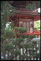 Japanese tea garden.  Golden Gate Park.  San Francisco, California